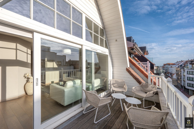 Zonnig en ruim duplex appartement met zuidgericht terras     - Alex Dewulf